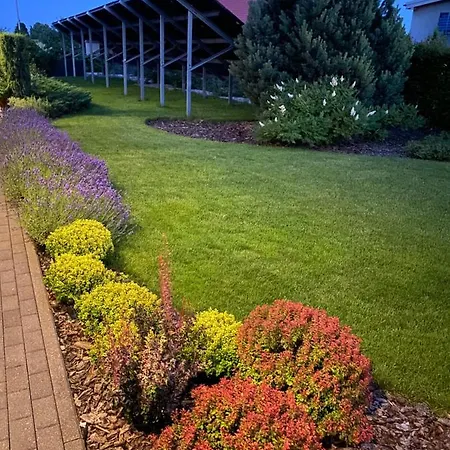 Premium & Garden * Glincz