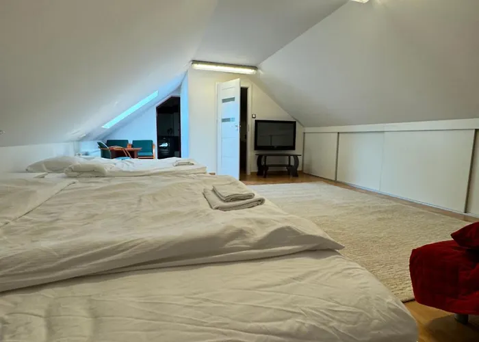 Premium & Garden Glincz